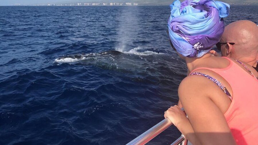 Small-Group Whale Watching Adventure