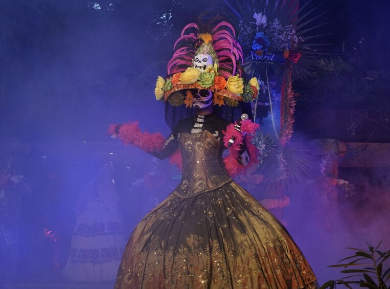Xcaret Park Tickets
