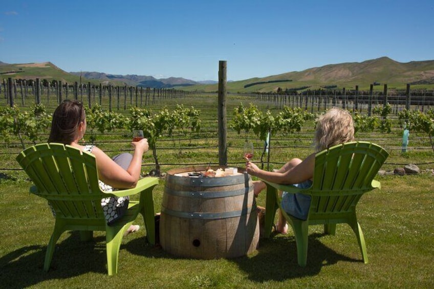 Waipara Wine Experience for 2 or more, inc tastings and lunch