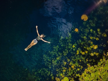 ทัวร์ Cenotes Enigmatic Waters โดย Xcaret