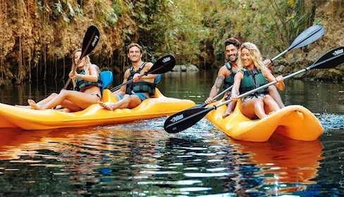 majestic elegance cancun excursions Tour Cenotes Enigmatic Waters by Xcaret