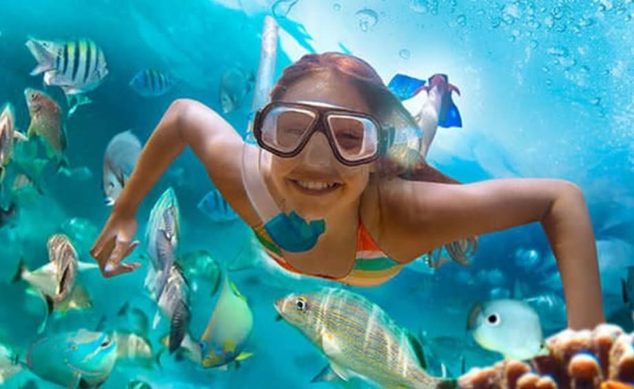 Cargar foto 3 de 24. Xel-Ha Park Tickets - All Inclusive