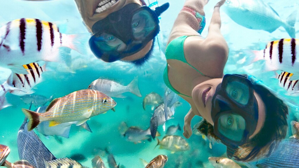 Xel-Ha Park Tickets - All Inclusive