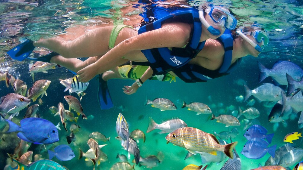Xel-Ha Park Tickets - All Inclusive