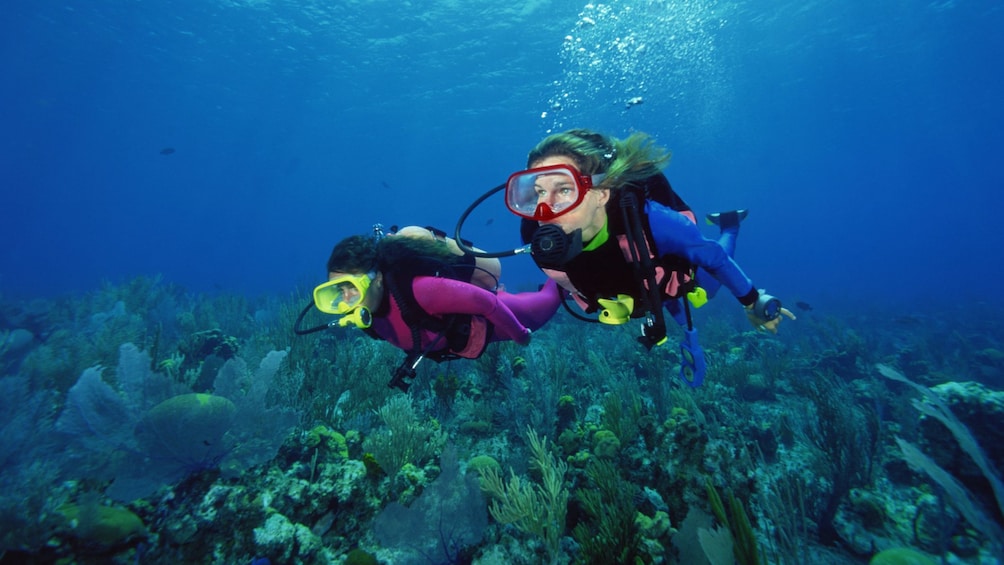 Scuba divers swimming over a coral reef in Cancun