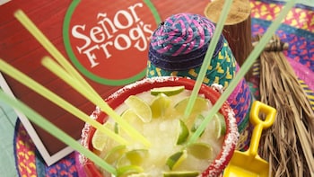 Señor Frog's Admission with Skip-the-Line & Open Bar
