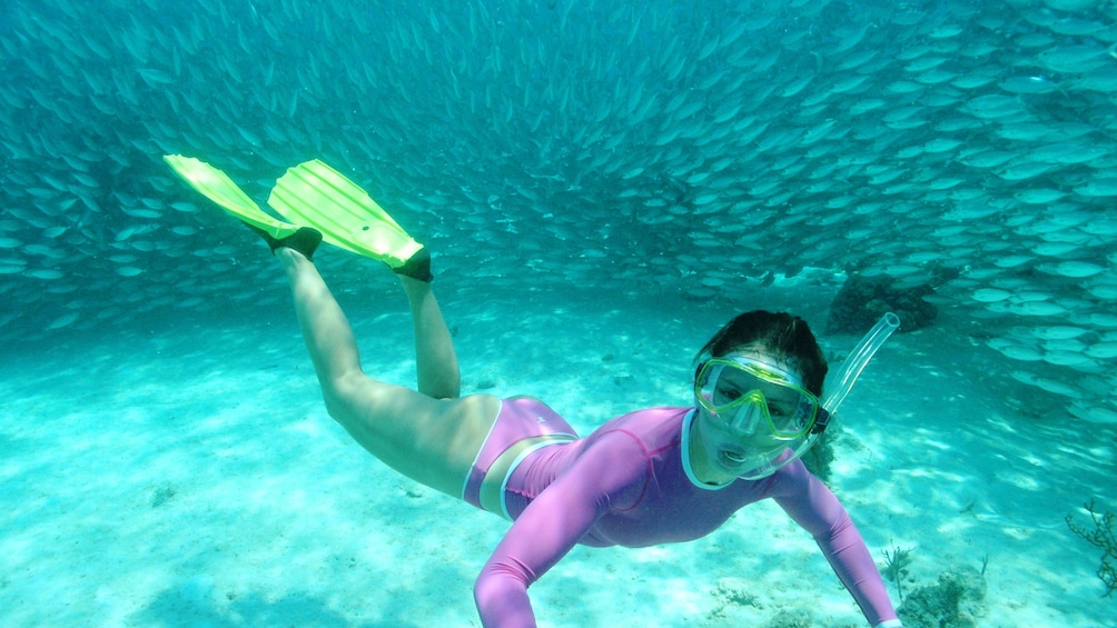 Snorkeler surrounded by fish in Cancun