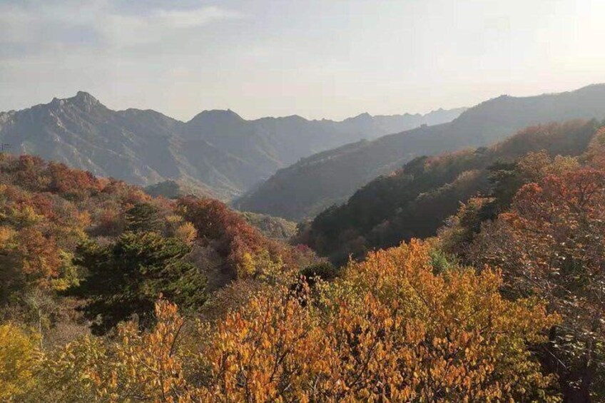 Visit Mutianyu Great Wall&Tea House with Private Car and English Speaking Driver