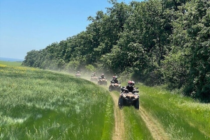 Half a day ATV fun tour near Bucharest