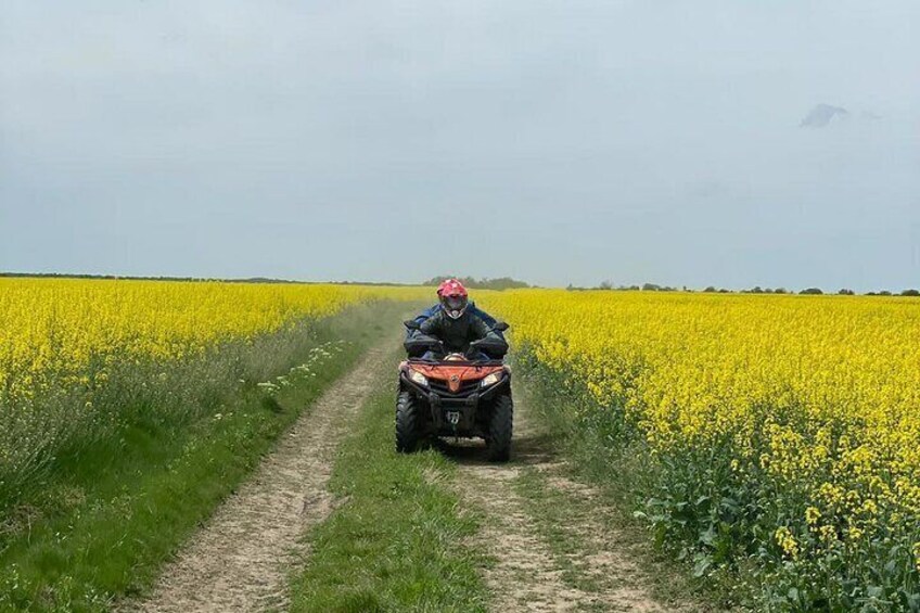 Half a day ATV fun tour near Bucharest