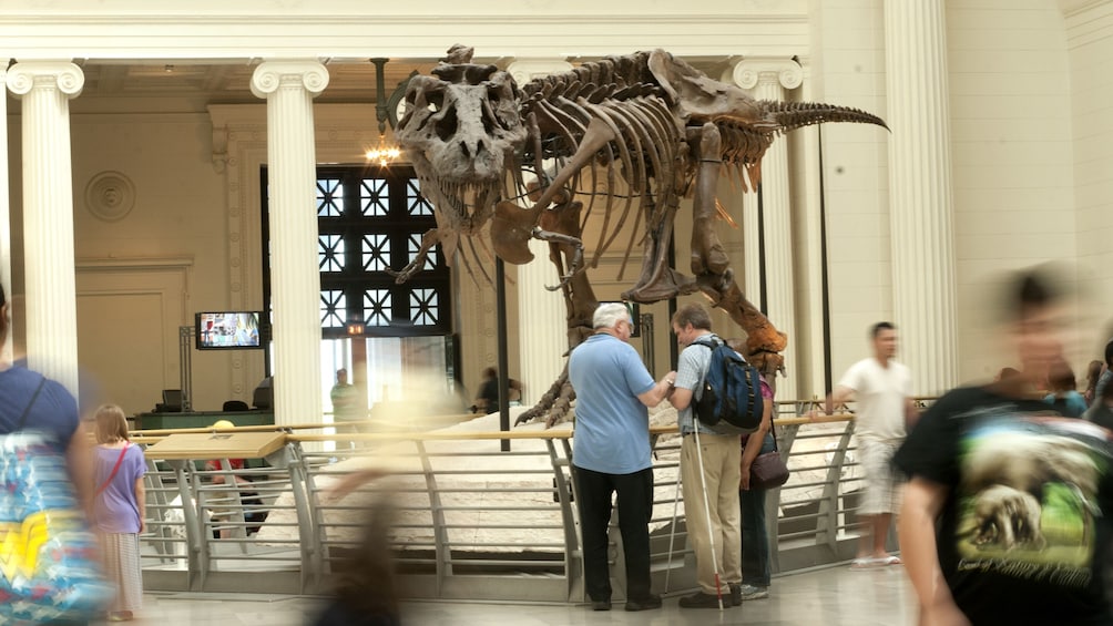 Apri foto 3 di 9. Chicago CityPASS: Admission to Top 5 Chicago Attractions