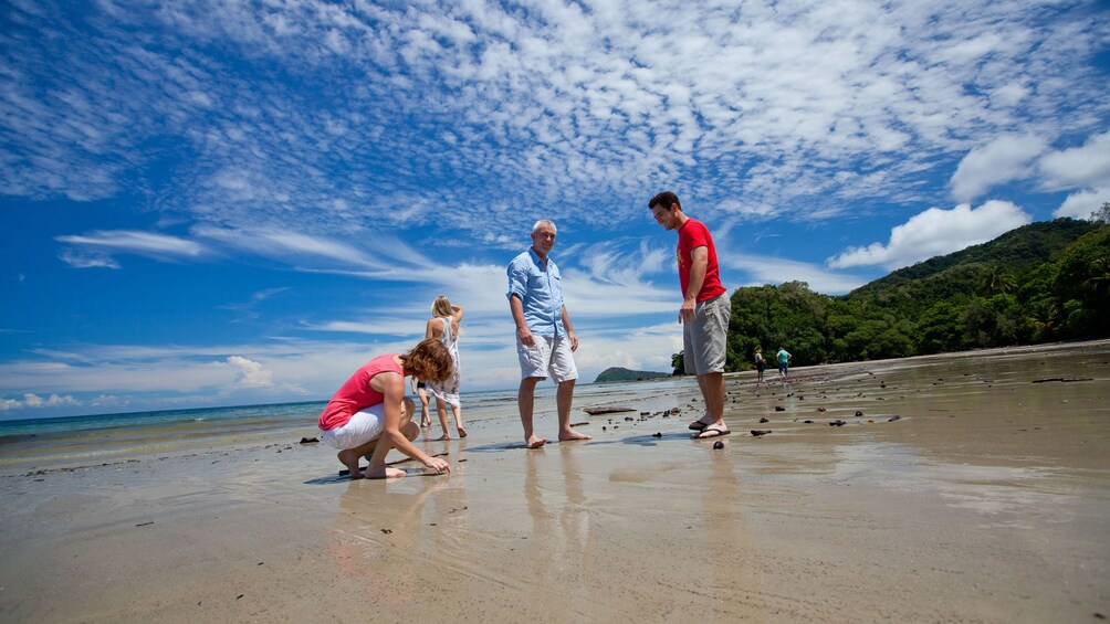Family enoying the sandy beach at Cape Tribulation