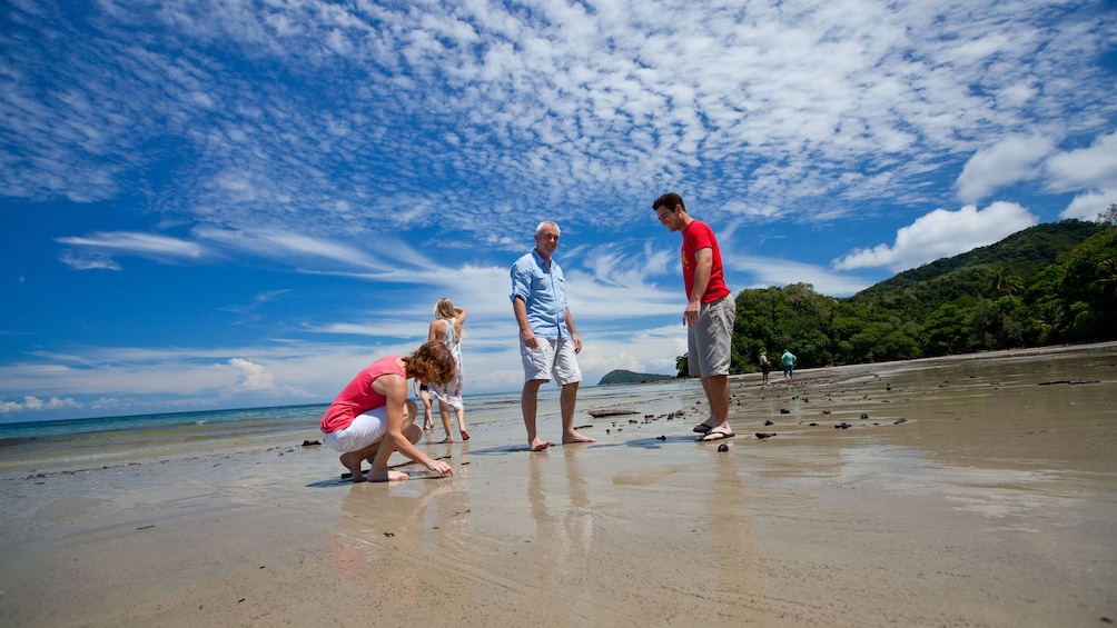 Family enoying the sandy beach at Cape Tribulation