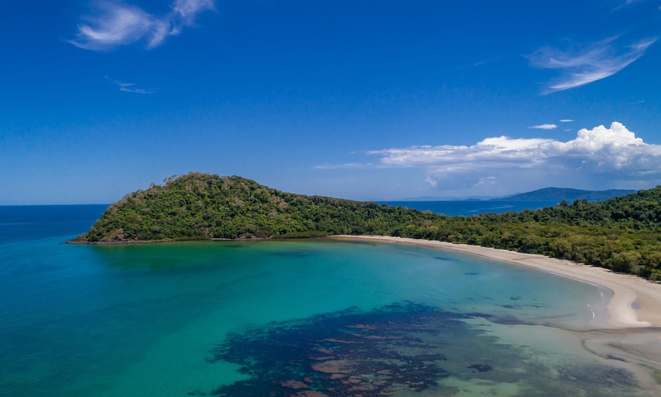Daintree Rainforest & Cape Tribulation Day Tour
