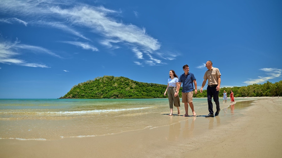 Daintree Rainforest & Cape Tribulation Day Tour