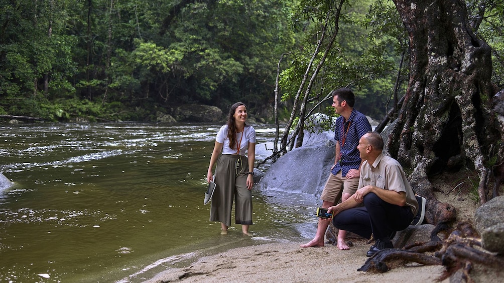 Daintree Rainforest & Cape Tribulation Day Tour