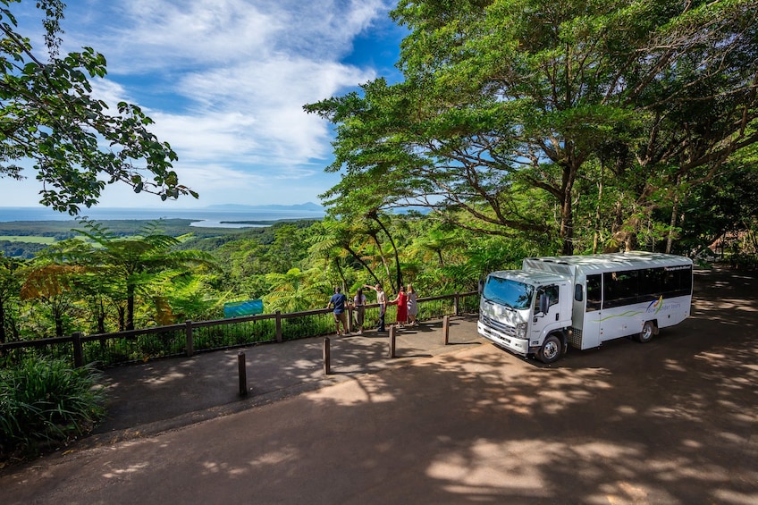 Daintree Rainforest & Cape Tribulation Day Tour 