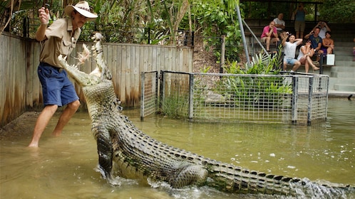 Tour di mezza giornata di Hartley's Crocodile Adventures