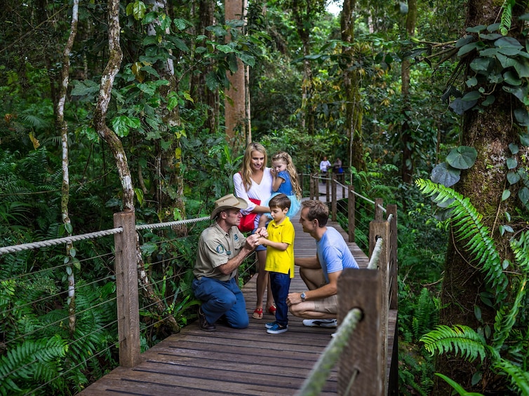 Show item 3 of 5. Kuranda Scenic Railway & Skyrail Tour