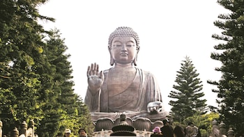 Lantau Island & Tian Tan Buddha Full-Day Excursion