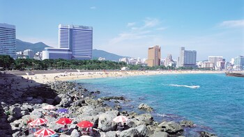 Busan Hop-On Hop-Off Bus Tour with KTX Train Ride