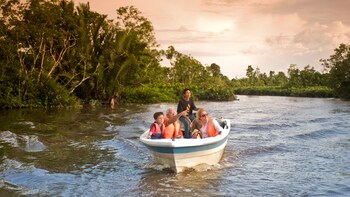 Private Klias Wetland Safari & Fireflies Tour