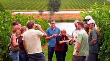 Yarra Valley Small-Group Wine Tour from Melbourne