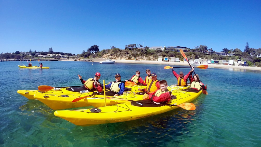 A group of kayakers at Mornington Peninsula