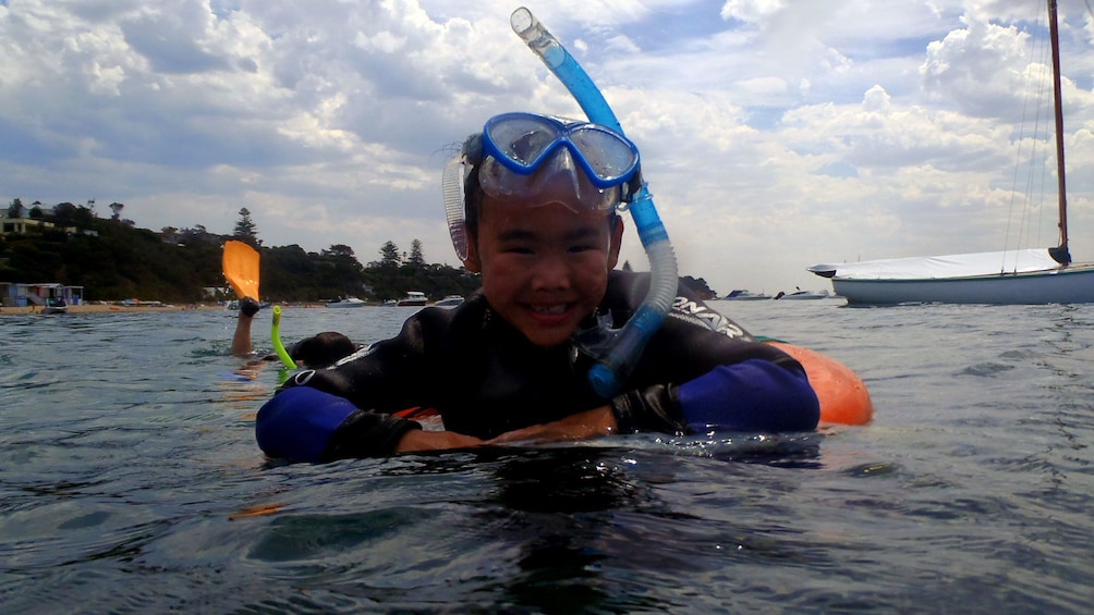 A snorkeler in the water at Mornington Peninsula