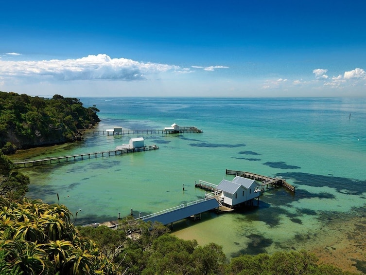 Show item 4 of 10. Mornington Peninsula small group day tour