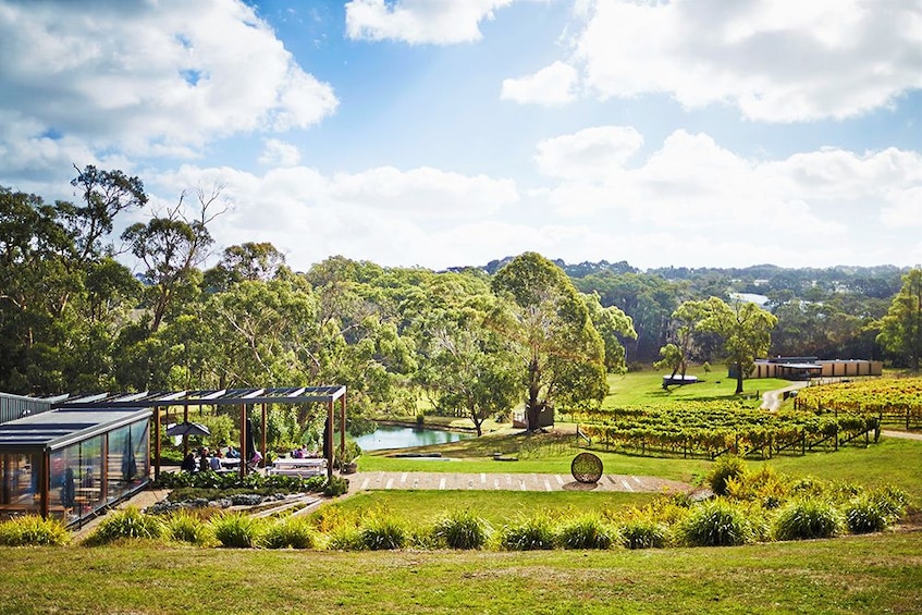 Show item 3 of 10. Mornington Peninsula small group day tour