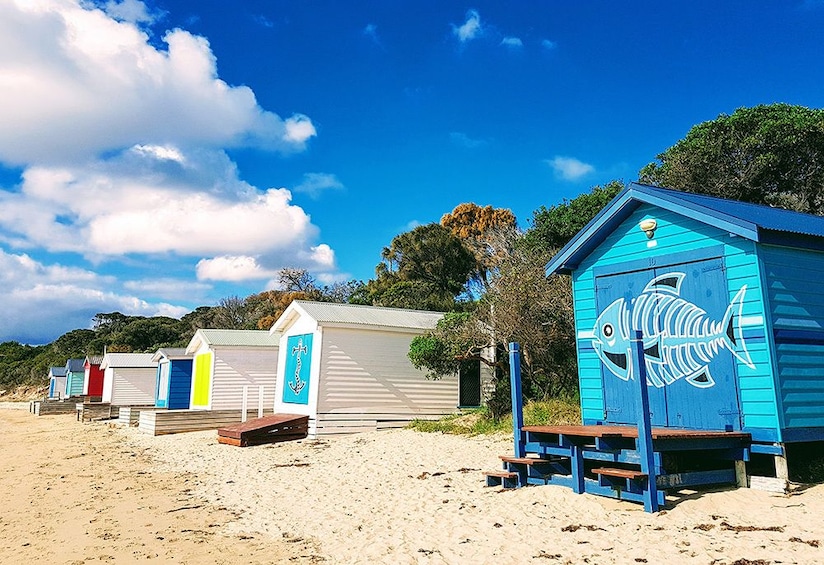 Show item 1 of 10. Mornington Peninsula small group day tour