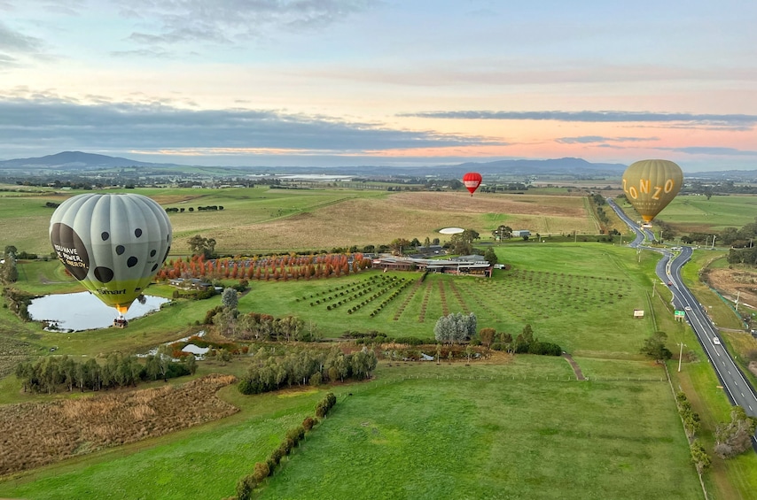 Yarra Valley Sunrise Hot Air Balloon Flight
