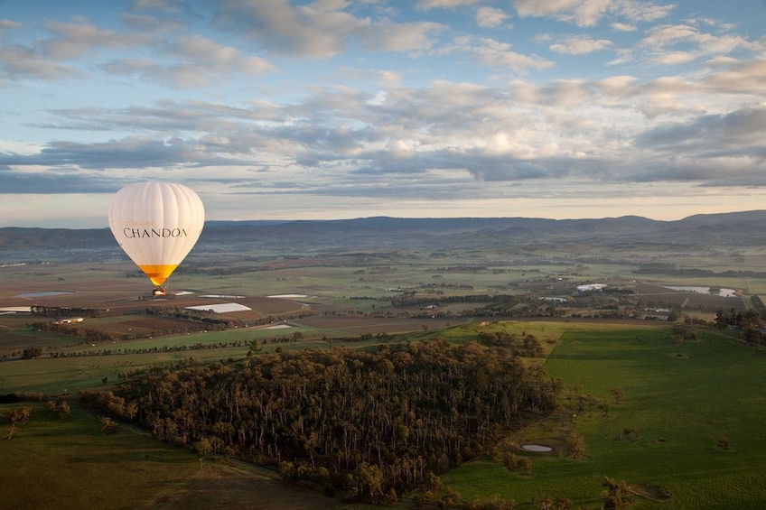 Yarra Valley Sunrise Hot Air Balloon Flight