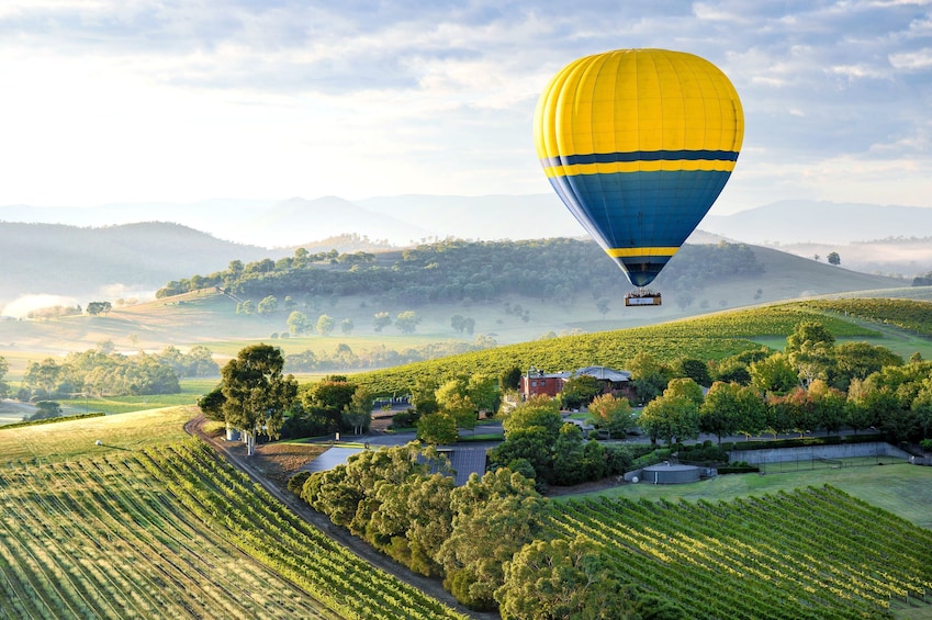 Yarra Valley Sunrise Hot Air Balloon Flight
