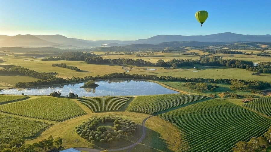 Yarra Valley Sunrise Hot Air Balloon Flight