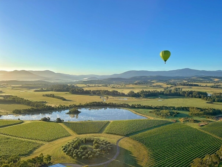 Yarra Valley Sunrise Hot Air Balloon Flight