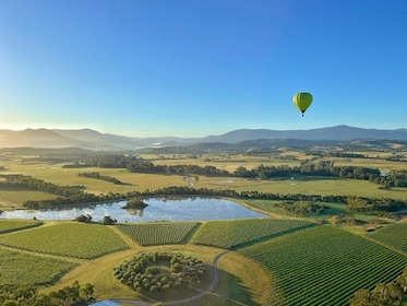 Penerbangan Balon Udara saat Matahari Terbit di Yarra Valley