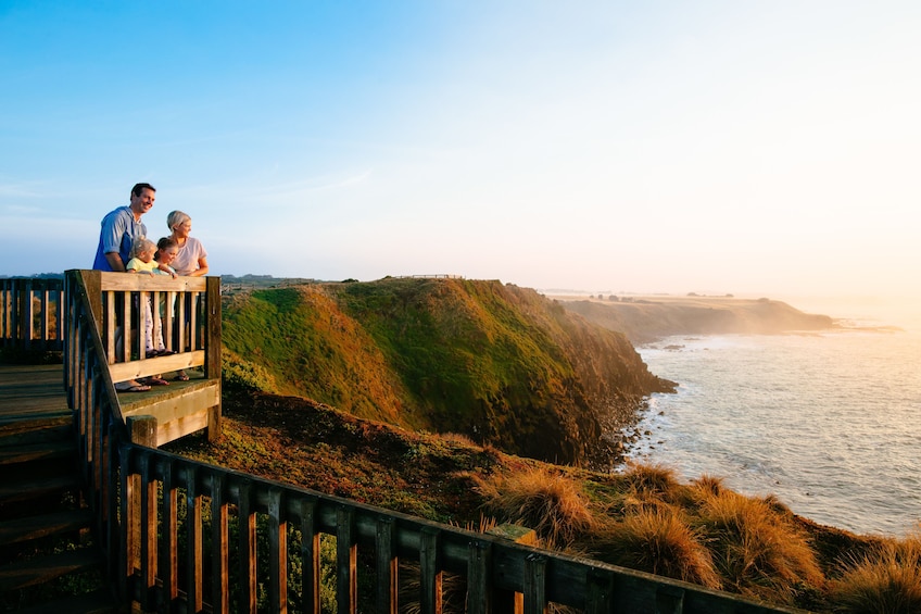 Phillip Island Wildlife & Penguin Parade Small Group Tour