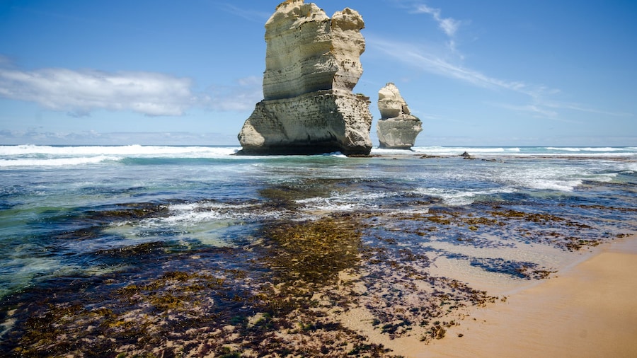 Great Ocean Road & 12 Apostles Small Group Day Tour