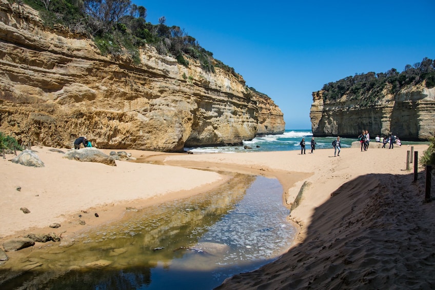 Great Ocean Road & 12 Apostles Small Group Day Tour 