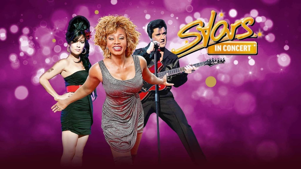 Apri foto 4 di 5. Stars in Concert Live Show