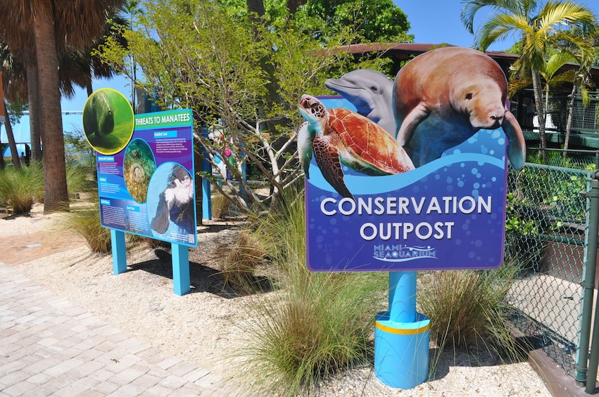 Foto 4 van 10. Miami Seaquarium Tickets