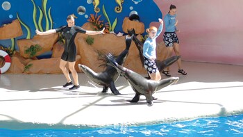 Miami Seaquarium Admission
