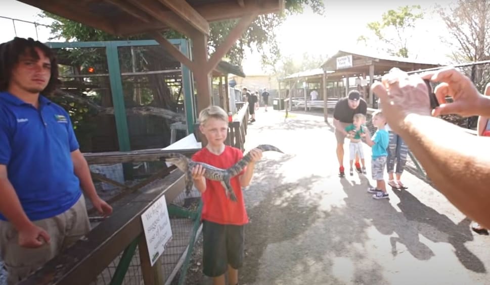 Everglades Airboat Adventure and Animal Sanctuary Admission