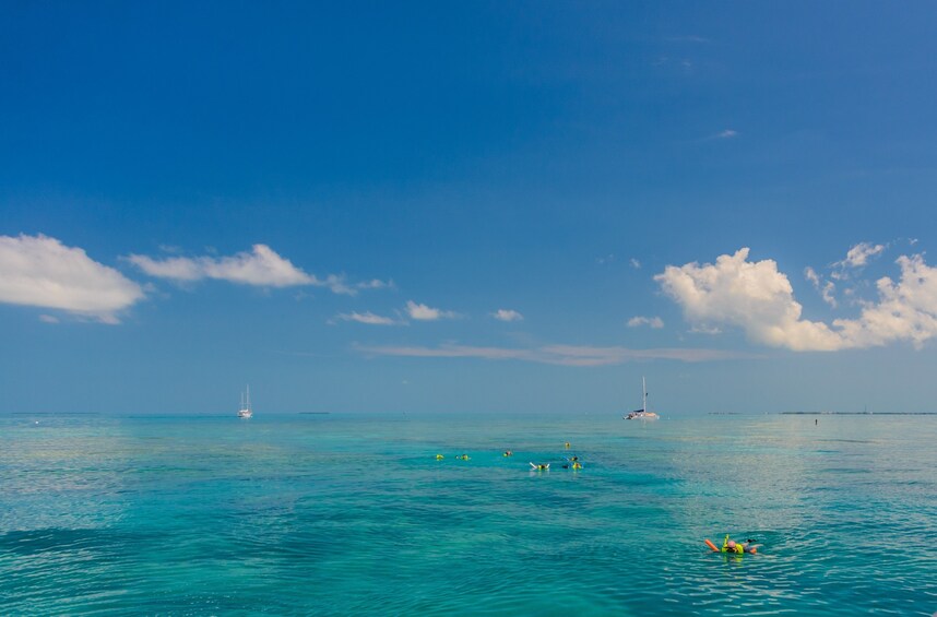 Show item 4 of 10. Power Adventure: All-day Watersports
