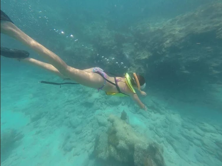 Morning Key West Reef Snorkel & Catamaran Sail