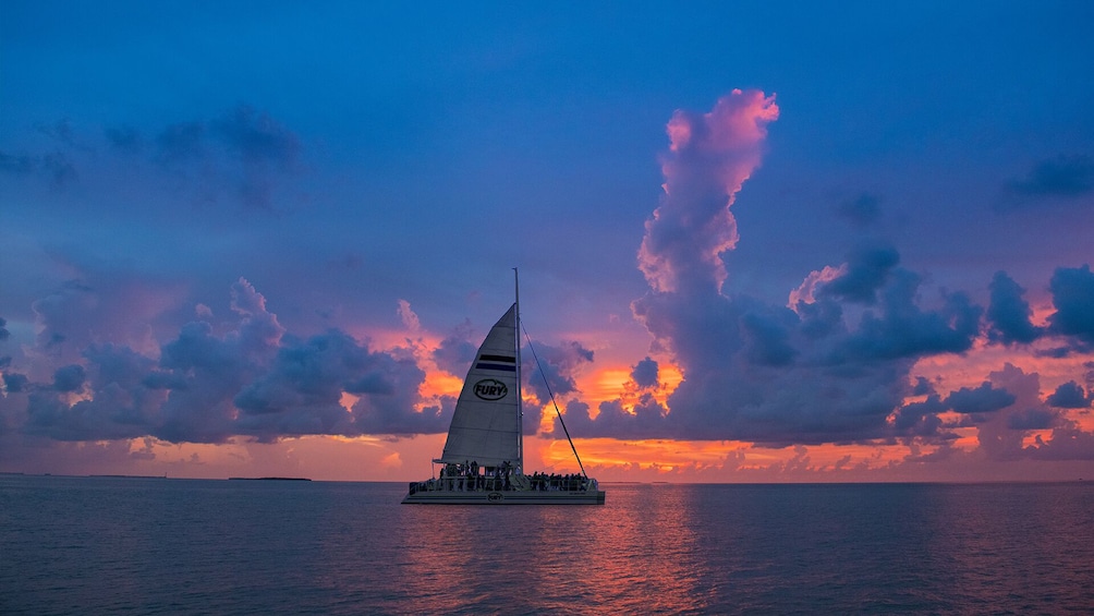 Commotion on the Ocean Sunset Sail