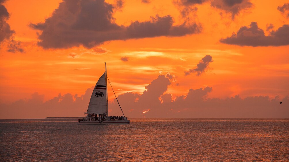 Commotion on the Ocean Sunset Sail