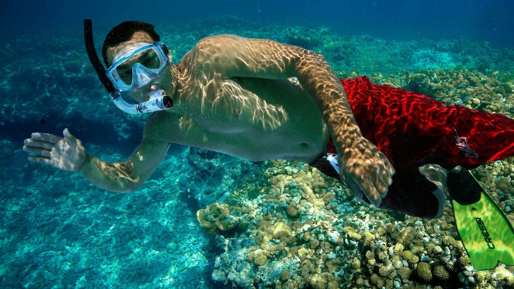 Snorkler waving underwater in Key West